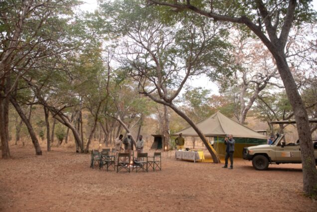 Chobe camping safari