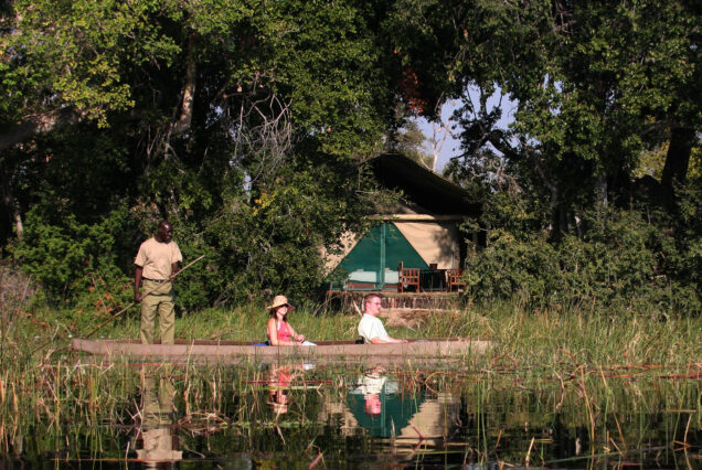 Moremi And Okavango Delta