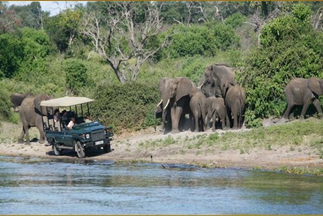 Victoria Falls, Chobe National Park and Okavango Delta